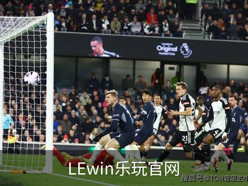 LEwin乐玩官网概况